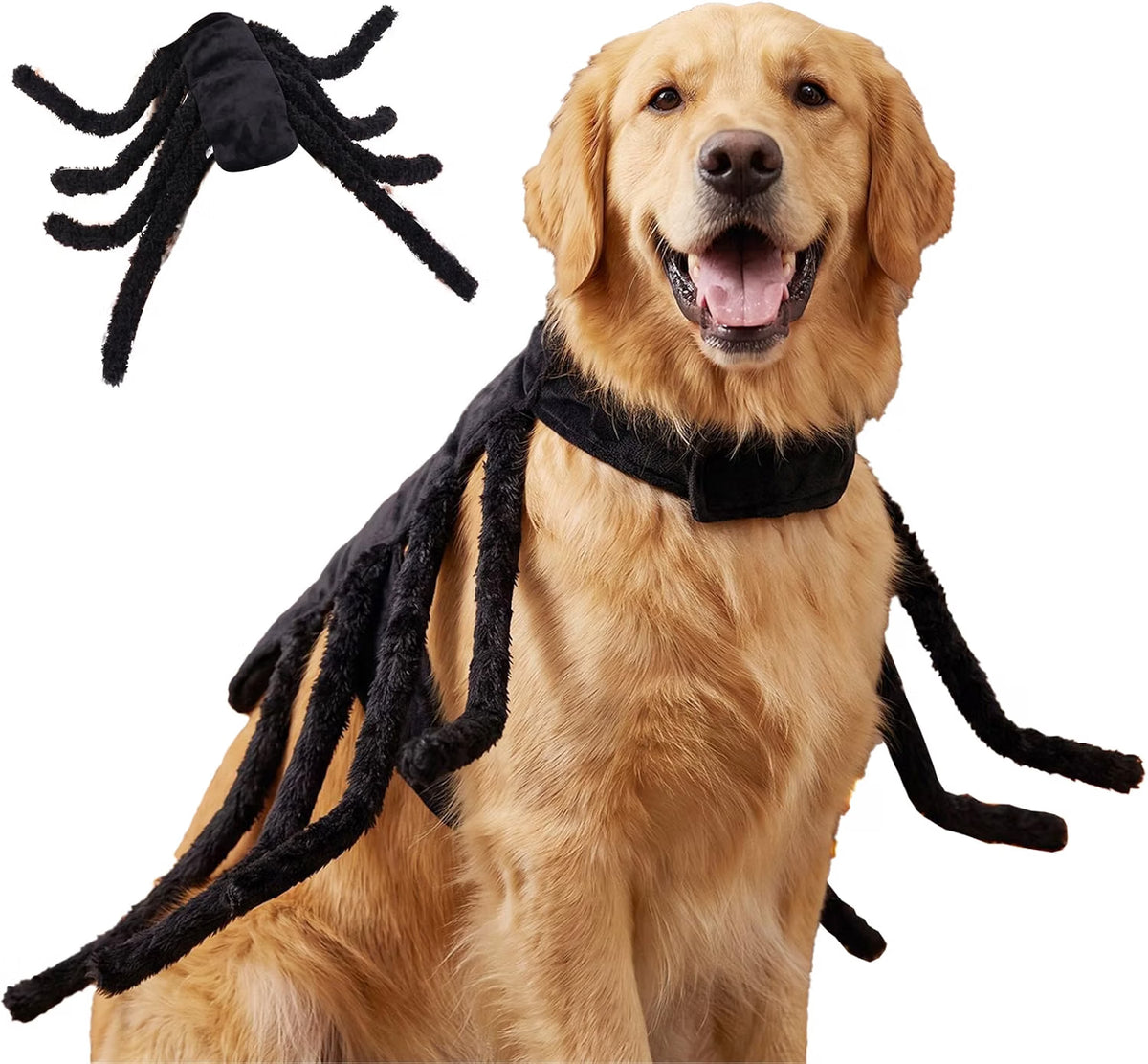 Fantasia de Aranha Gigante para Cães – Halloween