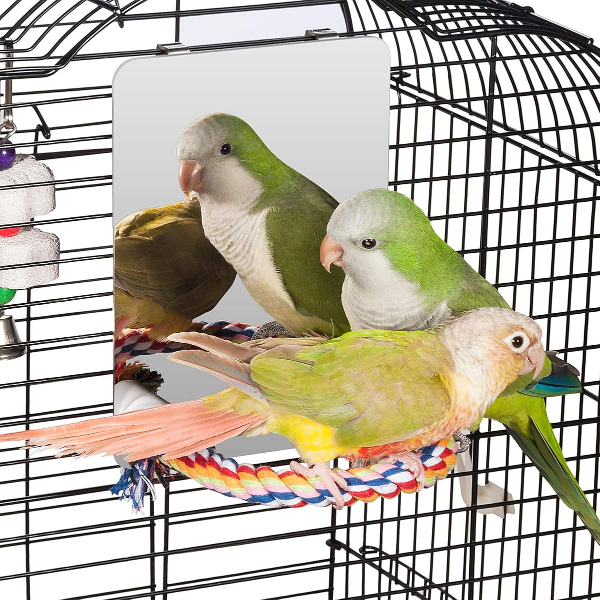 Colorday – Espelho em Aço Inoxidável para Aves com Poleiro de Corda